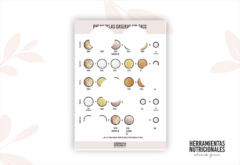 INFOGRAFÍA IMPRESA - HARINAS ALTERNATIVAS (combinación y marcas SIN GLUTEN)