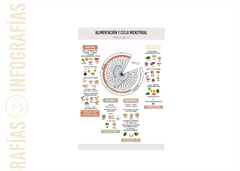 INFOGRAFÍA IMPRESA - CICLO MENSTRUAL Y ALIMENTACIÓN