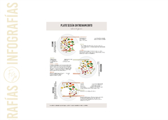 INFOGRAFÍA DIGITAL - PLATO SEGUN ENTRENAMIENTO