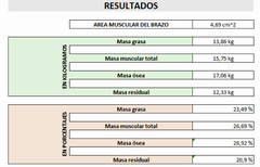 Excel Registro y Seguimiento de Composición Corporal - comprar online