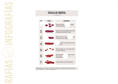 INFOGRAFÍA IMPRESA - ESCALA DE BRISTOL