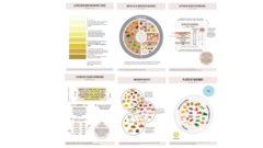 Combo infografías digital x7 - Herramientas Nutricionales By Fernanda Gomina