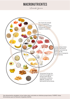 Combo Infografías Impresas x7 - Herramientas Nutricionales By Fernanda Gomina