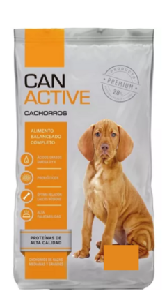 Can Active Cachorros 20 Kg