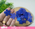 50 apliques Flor 2,5 x 2,5cm- eva glitter - comprar online