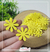 50 apliques Flor Margarida 2,5cm - eva glitter - comprar online