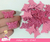 50 apliques Borboleta 1,5cm - eva glitter - loja online