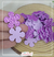 50 apliques Flor 2,5 x 2,5cm- eva glitter - comprar online