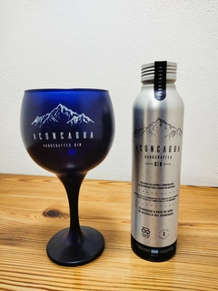 Gin Aconcagua 500 Ml - comprar online