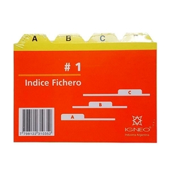 FICHA INDICE N° 3 IGNEO en internet