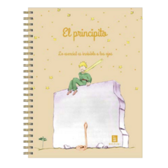 CUADERNO ROZINI 16 X 21 PRINCIPITO RAYAS en internet