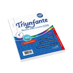 REPUESTO TRIUNFANTE Nº 3 96 HJS CUADROS - comprar online