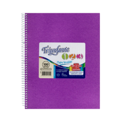 CUADERNO TRIUNFANTE 21 X 27 cm 60 HOJAS FORRADO VIOLETA RAYAS - comprar online