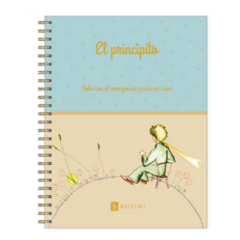 CUADERNO ROZINI 16 X 21 PRINCIPITO RAYAS - tienda online