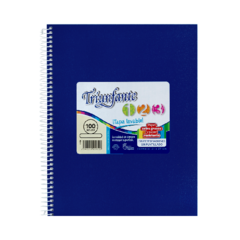 CUADERNO TRIUNFANTE 21 X 27 cm 100 HOJAS FORRADO AZUL RAYAS - comprar online