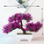 "Bonsai Artificial: Elegância em Miniatura para Transformar sua Casa com Pequenas Árvores e Flores Falsas em Encantadores Vasos Decorativos" FRETE GRÁTIS na internet