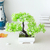 "Bonsai Artificial: Elegância em Miniatura para Transformar sua Casa com Pequenas Árvores e Flores Falsas em Encantadores Vasos Decorativos" FRETE GRÁTIS