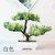 "Bonsai Artificial: Elegância em Miniatura para Transformar sua Casa com Pequenas Árvores e Flores Falsas em Encantadores Vasos Decorativos" FRETE GRÁTIS