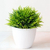 "Bonsai Artificial: Elegância em Miniatura para Transformar sua Casa com Pequenas Árvores e Flores Falsas em Encantadores Vasos Decorativos" FRETE GRÁTIS - comprar online