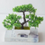 Imagem do "Bonsai Artificial: Elegância em Miniatura para Transformar sua Casa com Pequenas Árvores e Flores Falsas em Encantadores Vasos Decorativos" FRETE GRÁTIS