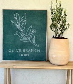 Olive Branch - Concepto Calma