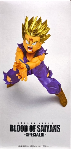 Gohan - DRAGON BALLZ - BLOOD OF SAIYANS na internet