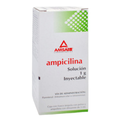 Ampicilina Ampolleta 1gr (Amsa)