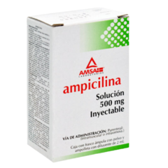 Ampicilina 1 Ampolleta 500mg (Amsa)