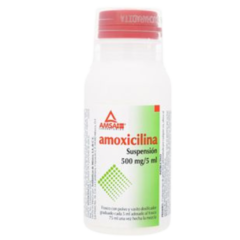 Amoxicilina 500mg Suspensión 75ml (Amsa)