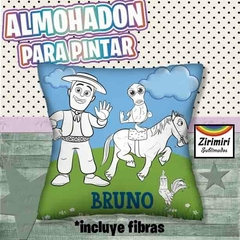 ALMOHADONES PARA PINTAR 44