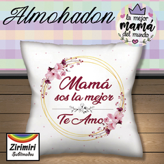 ALMOHADONES DIA DE LA MADRE 17