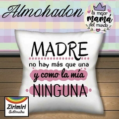 ALMOHADONES DIA DE LA MADRE 20