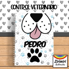 VETERINARIO 7