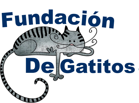 Gatitienda de Gatitos