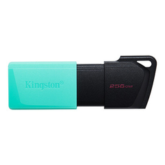 USB KINGSTON 256GB EXODIA DTX3,2