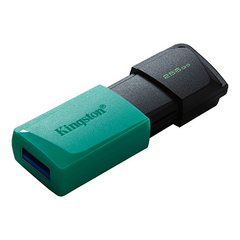 USB KINGSTON 256GB EXODIA DTX3,2 - comprar online
