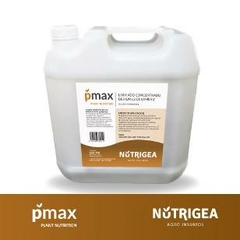 Formulado PMAX 20 Lts (x U.) - Lixiviado concentrado de humus + Fósforo