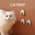 Bichinhos de Brinquedo para Gatos com Catnip Erva Gato Natural - comprar online