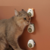 Bichinhos de Brinquedo para Gatos com Catnip Erva Gato Natural - Upvet Store