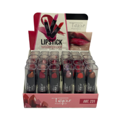 Labial en Barra Waterproof LipStick Tejar Cuad Neg (24u) - 01963