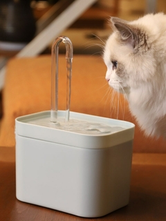 Imagem do Fonte de água para gatos