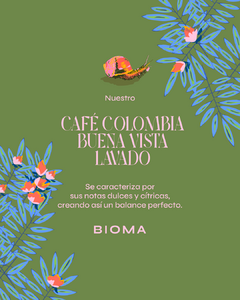 Cafe de especialidad - comprar online