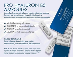 PRO HYALURON AMPOULES 10 AMP. DE 2,5 ML - comprar online