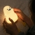 Imagem do Luminaria Pato em silicone led night light crianças bebê (Produto importado)