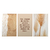 Kit 3 Quadros Decorativos Bege Boho Frase