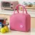 Bolsa termica Lona Lunch Bag (Produto importado) - comprar online