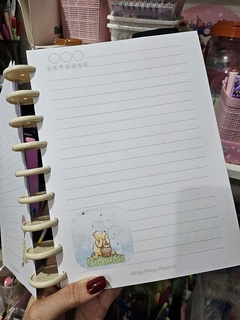 Refil para Caderno de Disco - Coleção Winnie The Pooh - Honey Honey Papelaria