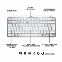 TECLADO MX KEYS MINI en internet