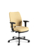 Cadeira para escritório executiva giratória 16503 SRE SL - Linha Soft - Braço SL - Cavaletti - Base Estampada Cromada