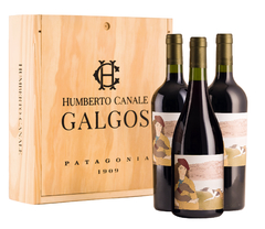 Galgos Humberto Canale - Estuche x 3 Botellas